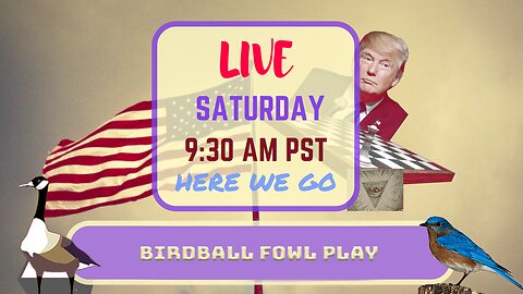Saturday *LIVE* Birdball Fowl Play