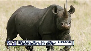 US to allow Michigan trophy hunter to import body of rare black rhino