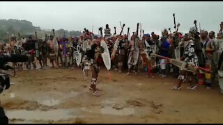 SOUTH AFRICA - Durban - Zulu Wedding (video) (iAT)