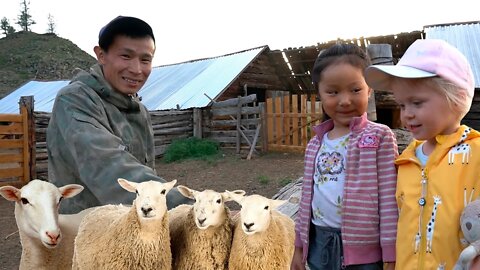 Life in the Altai village. Farm in the Altai mountains