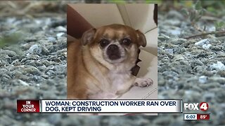 Woman says driver ran over dog, kept going