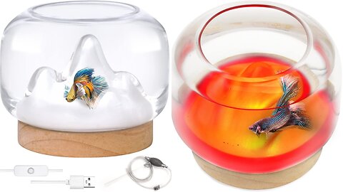 Small Betta Fish Tank Glass Aquarium LED Night Light Bowl