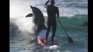 Dacht hij even met zijn board de oceaan in te gaan, krijgt hij even bezoek van de bewoners zelf