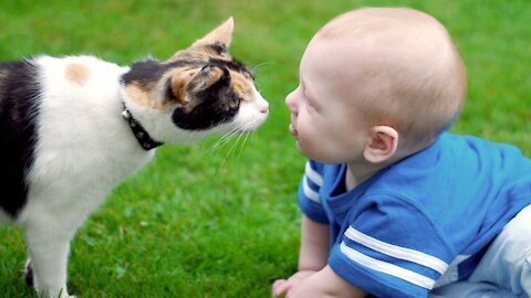 Amazing Babies Playing With Dogs and Cats Funny Babies Compilation