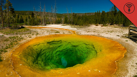 Stuff You Should Know: Internet Roundup: Weird Stuff for Sale & Yellowstone's Legal Loophole