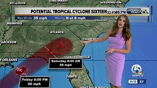 Tropical storm warning issued for parts of Florida Panhandle due to potential tropical cyclone