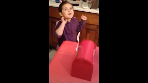 Adorable 4 year old's reaction to sending letters to Santa in magical mailbox