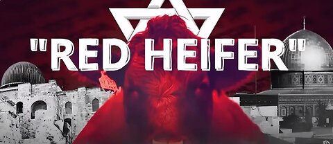 Revelations with Watchman44 - Is the Red Heifer Israel's Next Response??? 4/17/2024