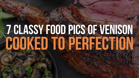 7 Classy Food Pics of Venison Cooked to Perfection