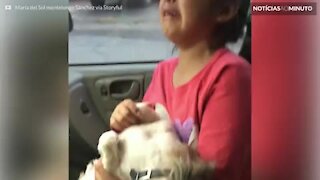 Menina chora ao ver novo penteado do cão