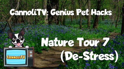 Genius Pet Hack: Watch this video to stop barking dogs - Nature Tour 07 #howto #dogtraining #puppy