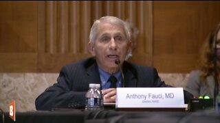 LIVE: Dr. Fauci Testifying before Congress...
