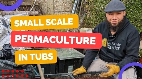 Small Garden Growing - Permaculture in Tiny Spaces - Starting A Container Garden For Free
