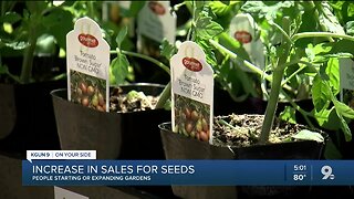 Nurseries reporting an increase in seed sales