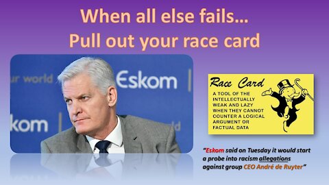 Is Eskom CEO Andre de Ruyter a victim of race card politics?