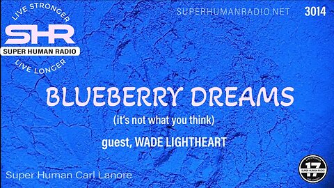 Blueberry Dreams (it's not what you think)