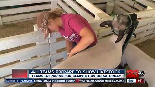 Animals taking center stage at Kern County Fair