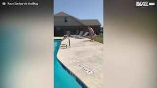 Pai lança filha na piscina e viraliza na internet!