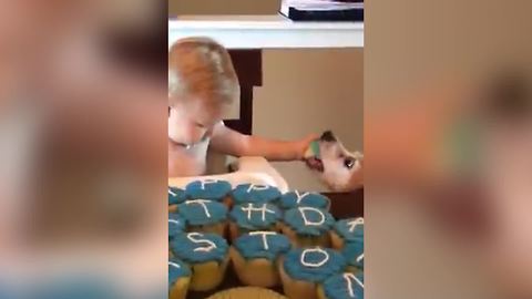 "Birthday Boy Doesn't Like Sharing His Cake"
