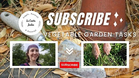 Vegetable Garden Tasks in October 2022 | Garden Cleanup