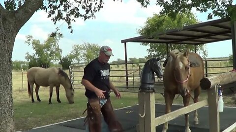 Part 1 of 3 - Riding A Bucking Horse After A Year Of Not Riding - Crazy Horse Tried To Throw Me