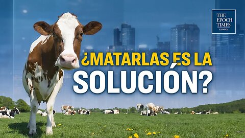 Un plan de gobierno que planea sacrificar 200.000 vacas para 'combatir el cambio climático'