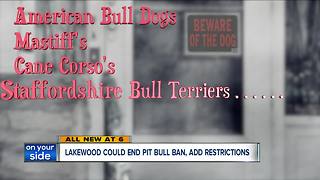 Lakewood City Council to discuss pit bull ban