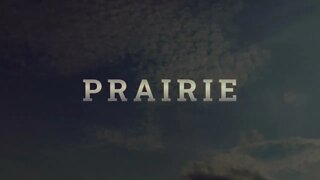 Prairie | Sony A7IV | Davinci Resolve + Dehancer Pro