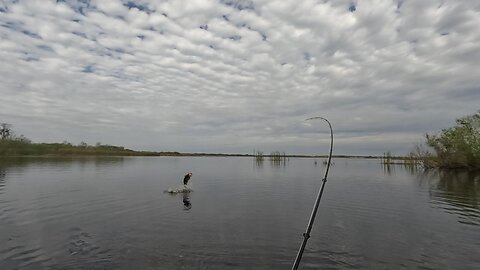 20 Inch Bass And A Broken Tip