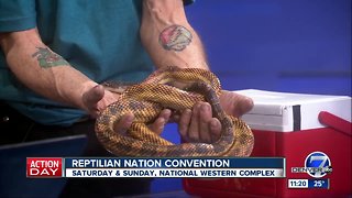 Reptilian Nation Expo in Denver this weekend