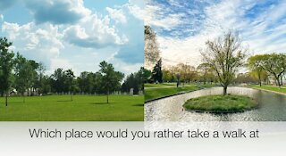 Which place would you rather take a walk at