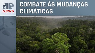 Ministério do Meio Ambiente e BNDES relançam Fundo Clima