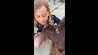 Watch tis little girl voraciously defends dog... again!