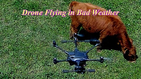 Drone flying in bad weather