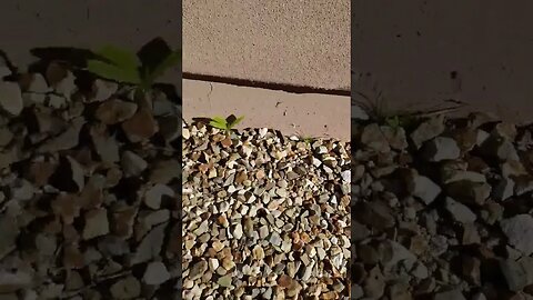 How to tell if your home is on a post tension slab. #arizona