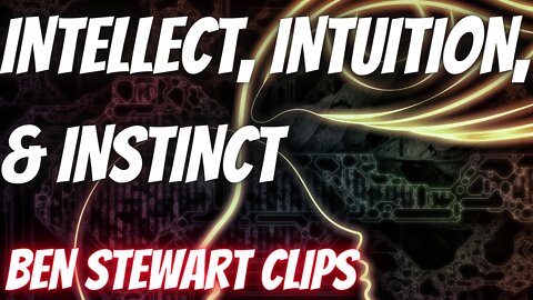 Intellect, Intuition, & Instinct | Wellness + Wisdom Podcast