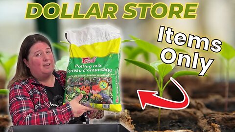 Starting Seeds | Dollar Store Items Only!