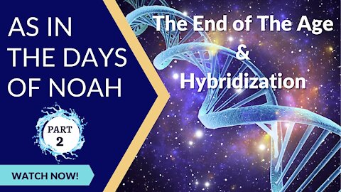 As In the Days of Noah 🌊 | Part 2 | The End of the Age 😲 and Hybridization 💉