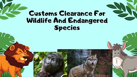 Customs Clearance For Wildlife And Endangered Species: A Guide For Beginners