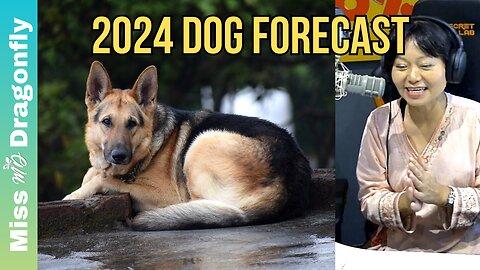 2024 Year Of The Dragon Zodiac Forecast | DOG