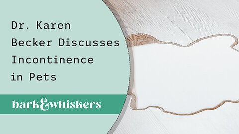 Dr. Karen Becker Discusses Incontinence in Pets