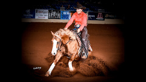 Spinferno shown by Amy Stoney 2020 NRBC Toyon Ranch Emerging Horse Futurity
