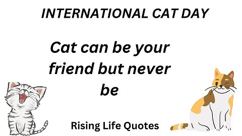 INTERNATIONAL CAT DAY