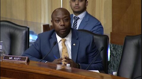 "Millions of Americans came to same conclusion", Tim Scott says there is a border crisis