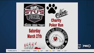 Local dog rescue holding charity "Poker Run" to save more dogs