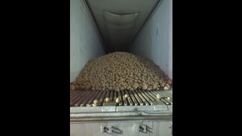 How potatoes get unloaded.