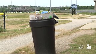 Overflowing garbage cans at Swann Park create eyesore
