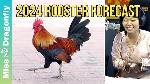 2024 Year Of The Dragon Zodiac Forecast | ROOSTER
