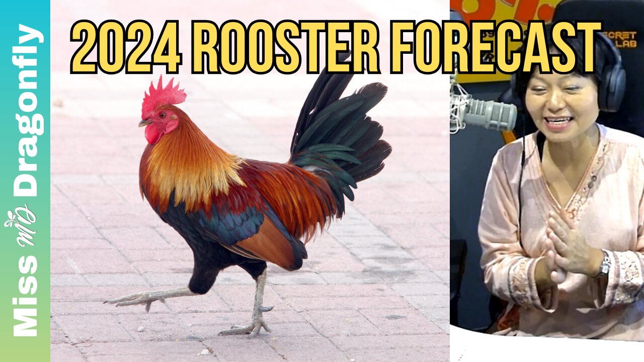 2024 Year Of The Dragon Zodiac Forecast ROOSTER