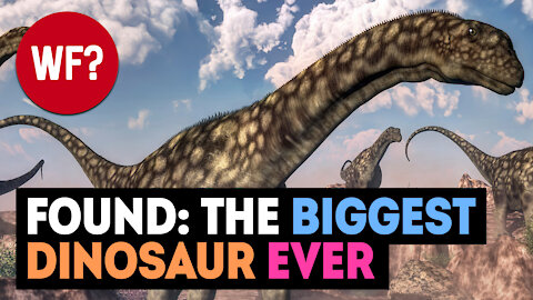 Largest Dinosaur EVER Discovered 😮 | Bigger than Patagotitan Majorum